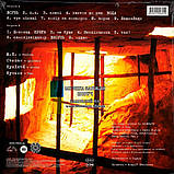 Вінілова платівка SKINHATE Квиток до раю (2003 / 2024) Vinyl (LP Record), фото 2