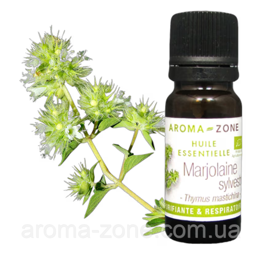 Чебрець мастиковий (Thymus mastichina) Об'єм: 10 мл