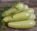 Кабачок Грибовський 3 г, ТМ Смачний, фото 2
