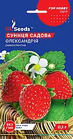 Насіння Суниці Олександрiя (0.1г), For Hobby, TM GL Seeds