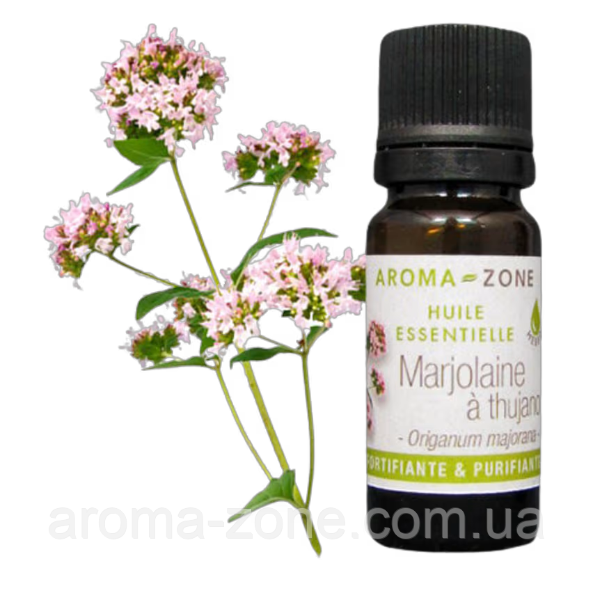 Ефірна олія Майоран туйянольный (Origanum majorana) Об'єм: 10 мл