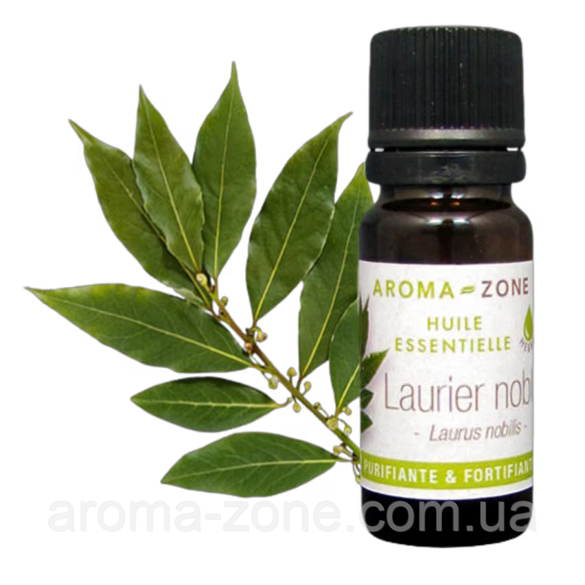 Лавр благородний (Laurus nobilis) Об'єм: 30 мл