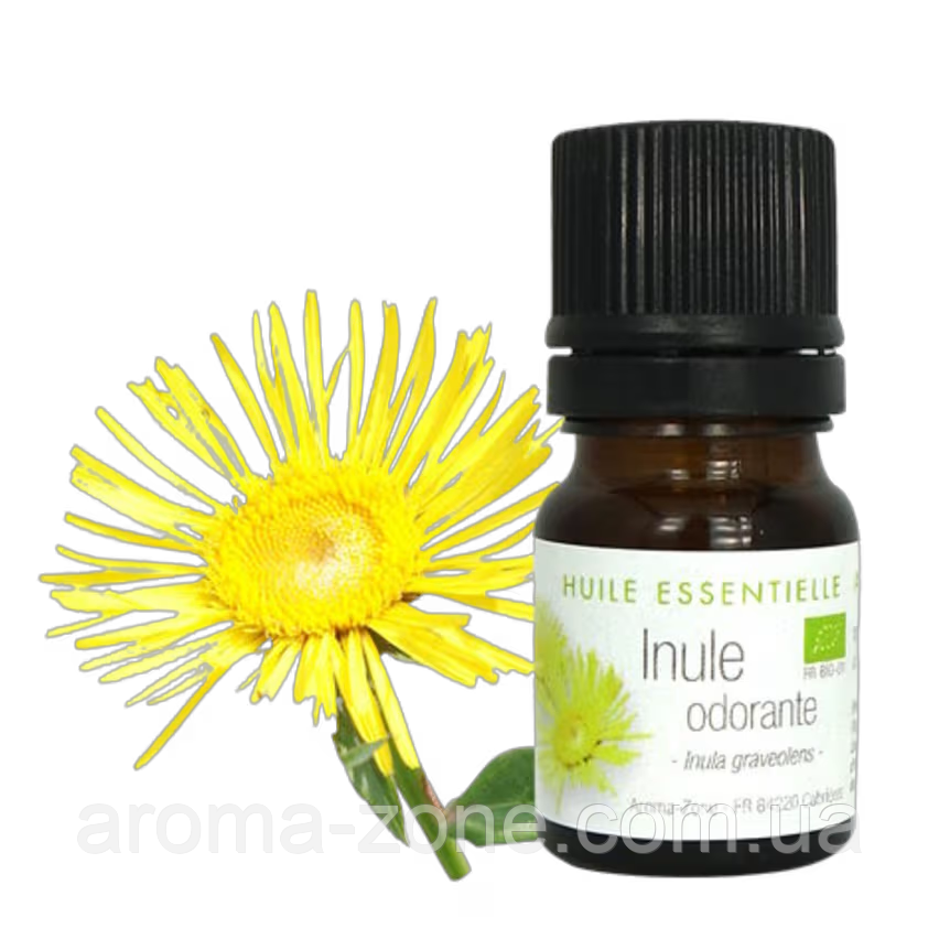 Оман (Inula graveolens) BIO Об'єм: 2 мл