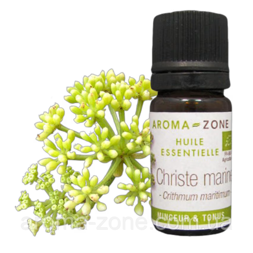 Критмум морський (Crithmum maritimum) BIO Об'єм: 5 мл