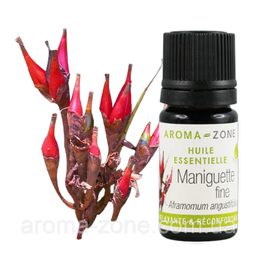 Ефірна олія Кардамону вузьколистий ( Aframomum angustifolium oil), 5 мл