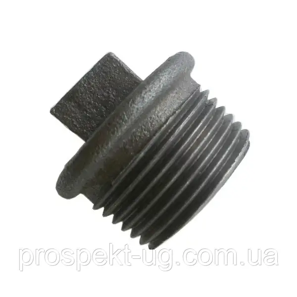 Заглушка Ду65 (2 1/2") чавунна оцинкована різьбова ЗР
