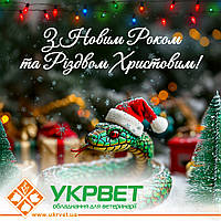 Щиро вітаємо вас з Новим Роком та світлим святом Різдва Христового!