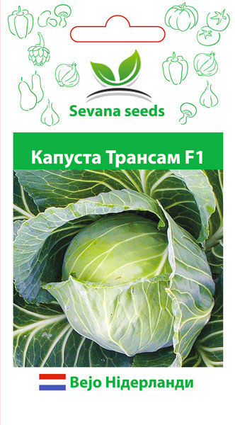 Насіння капусти Трансам F1 20 шт., фото 1