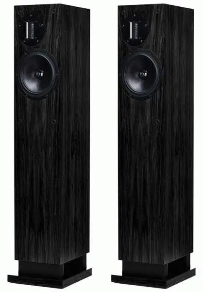 ProAc Response D20 R
