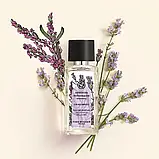 Парфумона вода Лаванда Calme Absolue / Кальм Абсолют, Essences Botaniques Yves Rocher, Ів Роше, 50 мл, фото 3