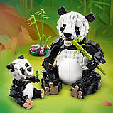 Конструктор LEGO Creator Дикі тварини: пандові 626 деталей (31165), фото 6