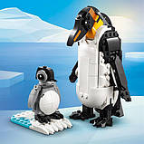 Конструктор LEGO Creator Дикі тварини: пандові 626 деталей (31165), фото 8