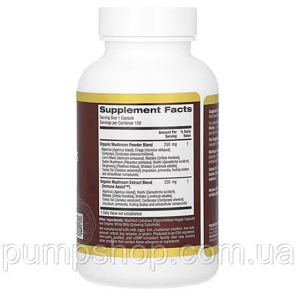 Суміш грибів California Gold Nutrition Fungiology MushRex Plus Immune Assist Micron 120 капс., фото 3