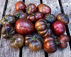 Насінняя томату Карлик Стринги 10 насінин