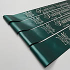 Смарагдова Стрічка на випускний "Випускник 2026", фото 4