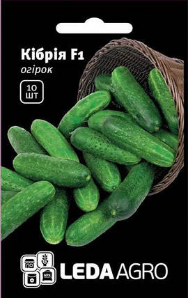 Насіння огірка Кібрія F1 10шт ТМ LEDAAGRO, фото 1