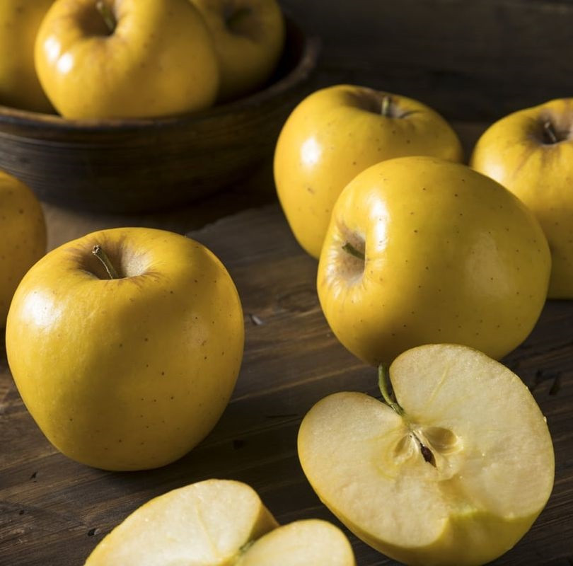 Яблуня "Голд Крим" (пізноквітучий, урожайний сорт), фото 1