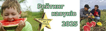 Чи варто вирощувати кавуни у 2025 році. Найкращі кавуни для вирощуваня.