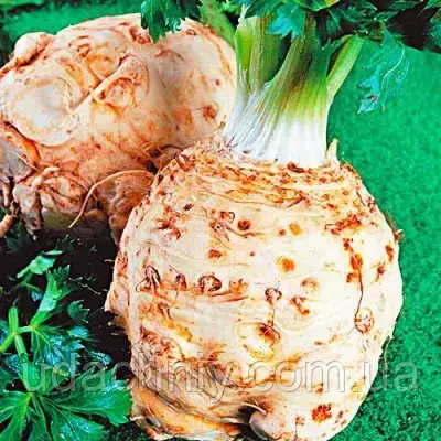 Селера коренева Алабастер 0.2 г