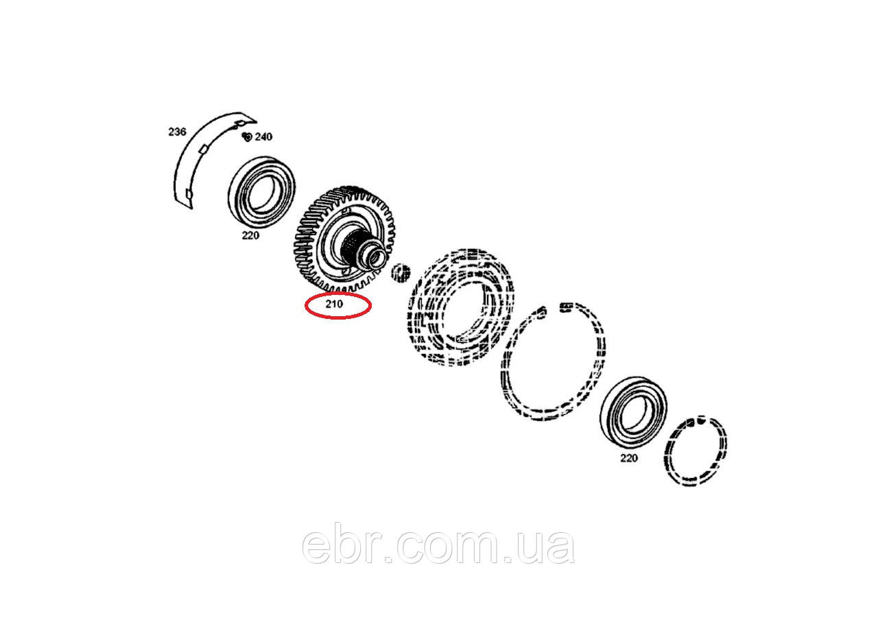 4143.335.025, S025359, VOE11705215, ZGAQ-01043 Шестерня косозуба Z=41 ZF 2HL100, фото 1