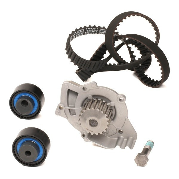 Помпа + комплект ременя ГРМ FIAT ULYSSE, LANCIA PHEDRA, SKF (VKMC03264), фото 1