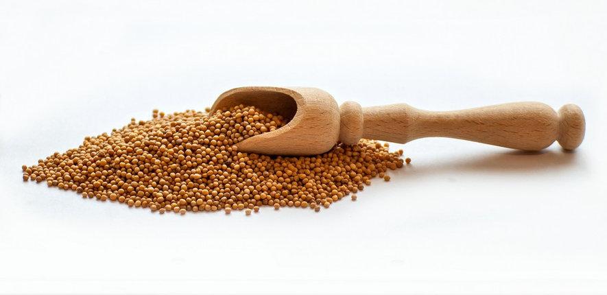 Гірчиця зерно, 200г