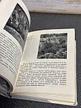 М. Д. Факторович "Художні музеї Києва", суперобкладинка, фото 8