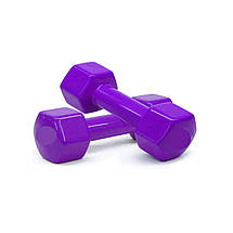 Гантелі вінілові для фітнесу гантелі гантелі спортивні нерозбірні фітнес гантелі вініл Newt Vinyl 2 шт по 2 кг, фото 2
