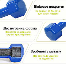 Гантелі вінілові для фітнесу гантелі гантелі спортивні нерозбірні фітнес гантелі вініл Newt Vinyl 2 шт по 1 кг, фото 5