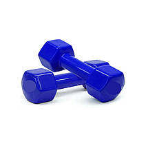 Гантелі вінілові для фітнесу гантелі спортивні нерозбірні фітнес гантелі вініл Newt Vinyl 2 шт по 3 кг, фото 2