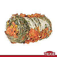 Тюк сіна Trixie 60793 з гарбузом та морквою для гризунів, 10х18см, 200гр (TX-60793)