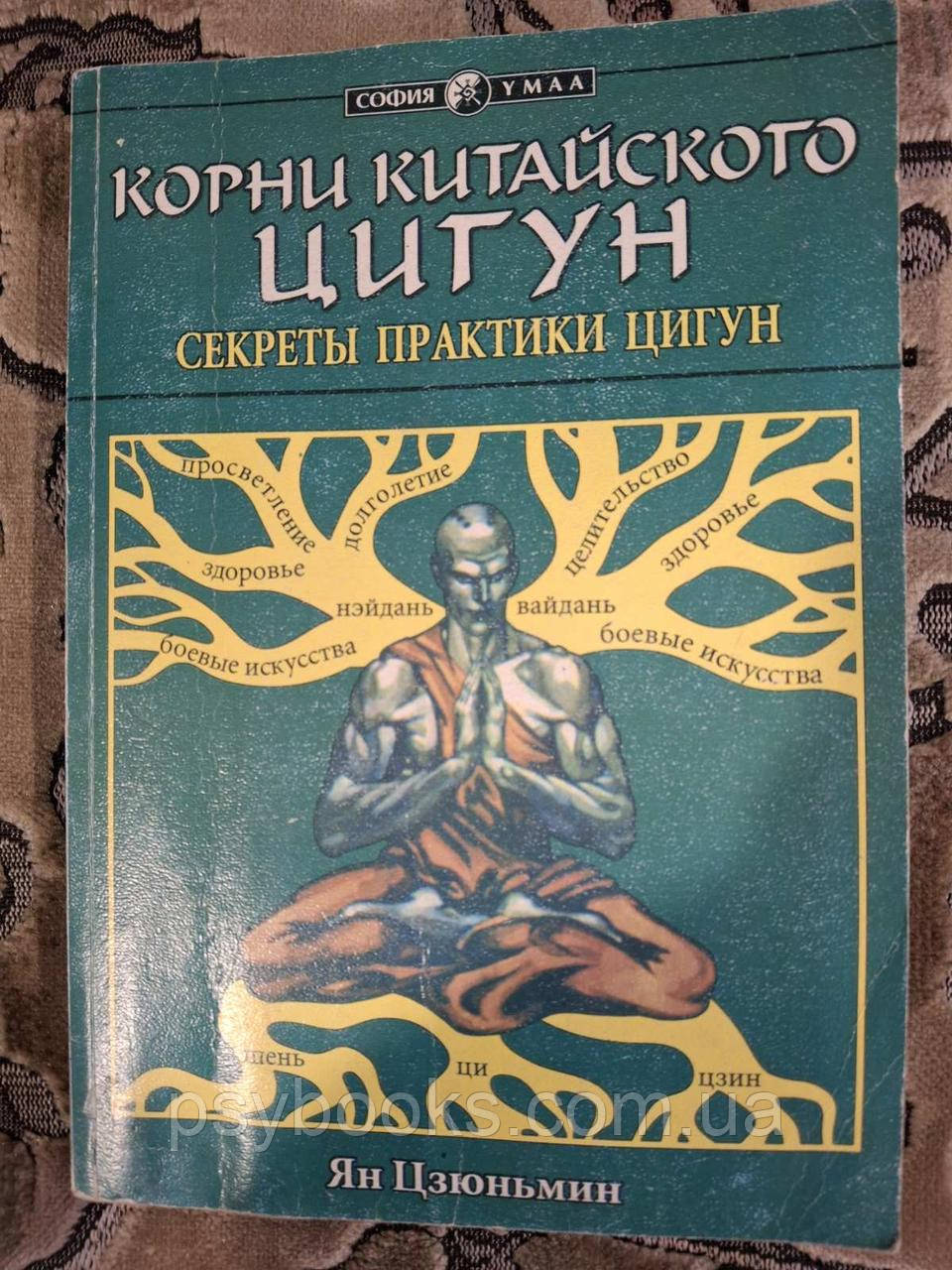 Книга Коріння Китайського Цигун Секрети практики Ян Цзюнмінь