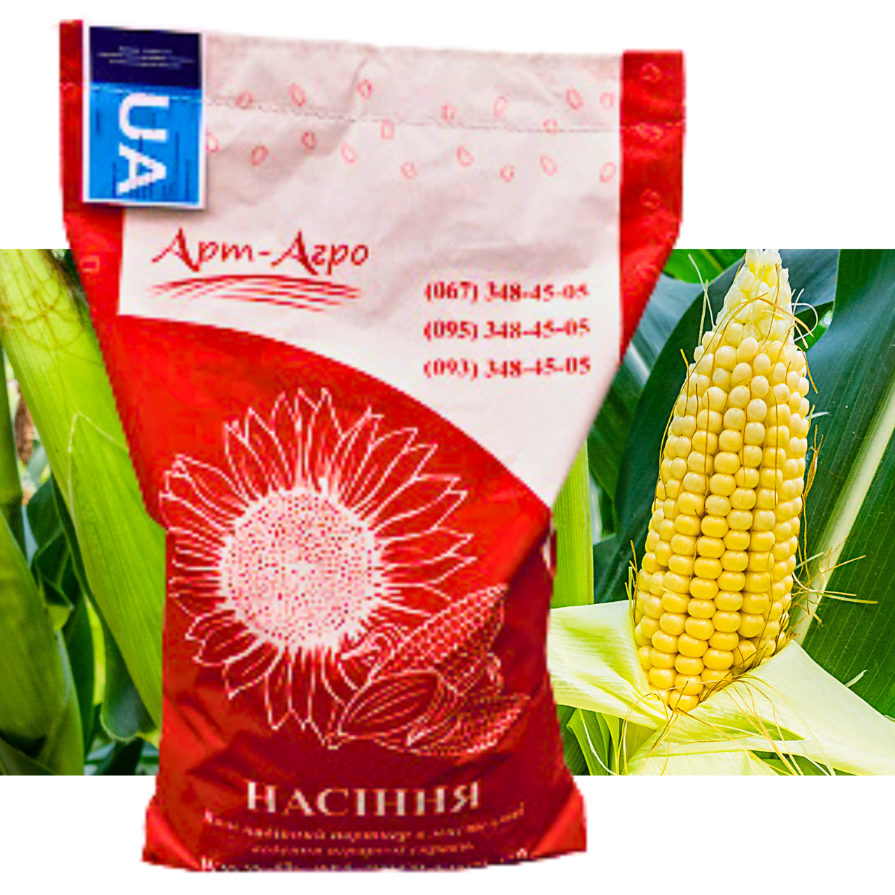 Насіння кукурудзи АНДРЕС ( ФАО 350 ) силосний - зерновий напрям використання, 2023