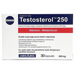 Бестер тестостерону Megabol Nutrition Testosterol 250 (30 капсул.)