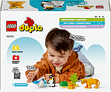 Конструктор LEGO DUPLO Сімейства диких тварин: пінгвіни та леви 10 деталей (10442), фото 4