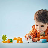 Конструктор LEGO DUPLO Сімейства диких тварин: пінгвіни та леви 10 деталей (10442), фото 9