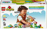 Конструктор LEGO DUPLO Town Творчий сад і квіти 45 деталей (10444), фото 4