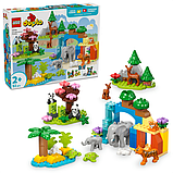 Конструктор LEGO DUPLO Town Сімейства диких тварин 3-в-1, 92 деталі (10446), фото 3