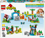 Конструктор LEGO DUPLO Town Сімейства диких тварин 3-в-1, 92 деталі (10446), фото 4