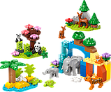 Конструктор LEGO DUPLO Town Сімейства диких тварин 3-в-1, 92 деталі (10446), фото 5