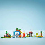Конструктор LEGO DUPLO Town Сімейства диких тварин 3-в-1, 92 деталі (10446), фото 11