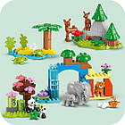 Конструктор LEGO DUPLO Town Сімейства диких тварин 3-в-1, 92 деталі, фото 6