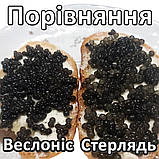 Ікра імітована червона лососева Горбуша + Веслоніс + Стерлядь + Щука 4х200 г. Дегустаційний сет. Україна, фото 3