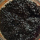 Ікра імітована червона лососева Горбуша + Веслоніс + Стерлядь 3х100 г. Дегустаційний сет. Україна, фото 5