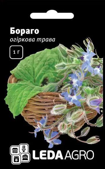 Насіння Огіркова трава Бораго 1г LEDAAGRO