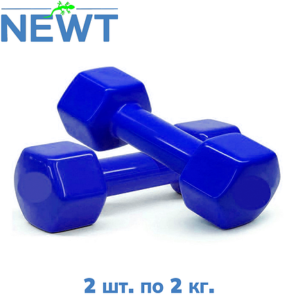 Гантелі вінілові для фітнесу гантелі гантелі спортивні нерозбірні фітнес гантелі вініл Newt Vinyl 2 шт по 2 кг, фото 1