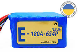 Акумуляторна збірка Li-Ion 6S4P Energy Life 16800 мАг Мolicel 21700-P42A 10AWG без конектора - 1 шт.