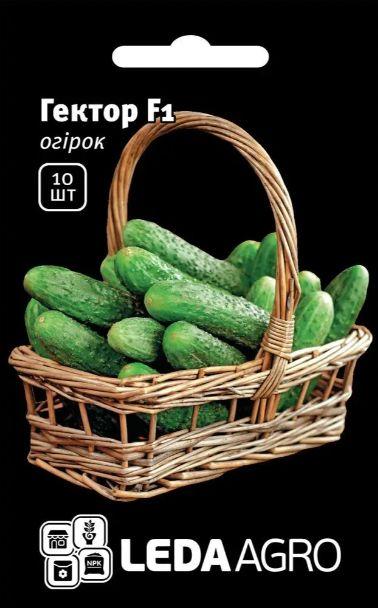 Насіння огірка Гектор F1 10шт ТМ LEDAAGRO