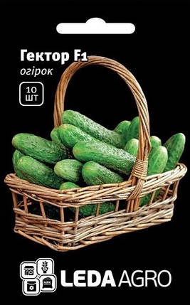 Насіння огірка Гектор F1 10шт ТМ LEDAAGRO, фото 1