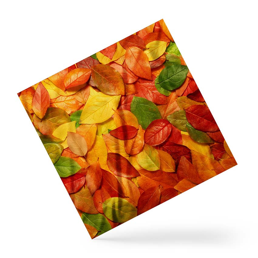 Хустка на голову і шию «Осіннє листя. Autumn leaves»